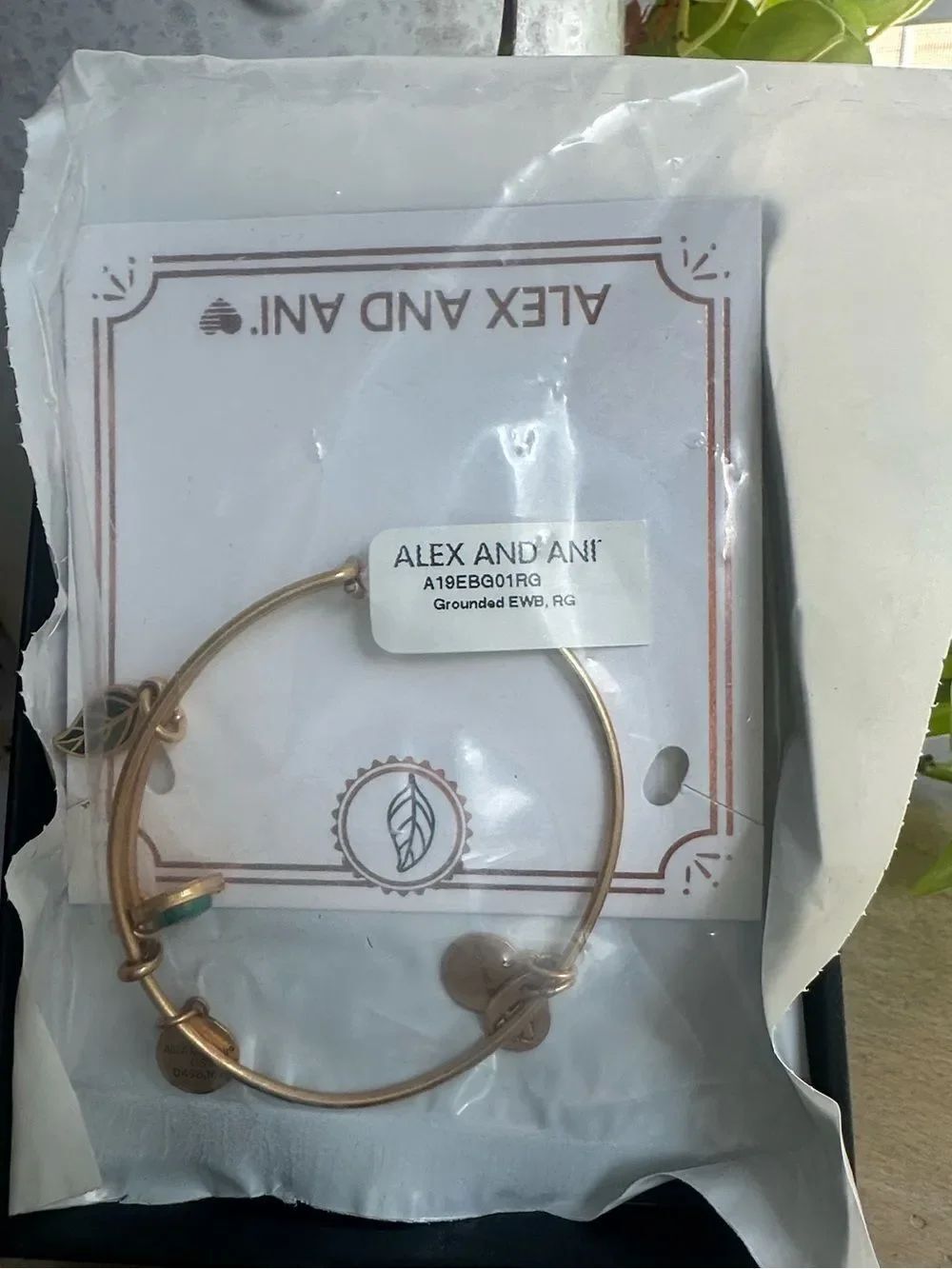 Alex & Ani Grounded Bracelet (New)